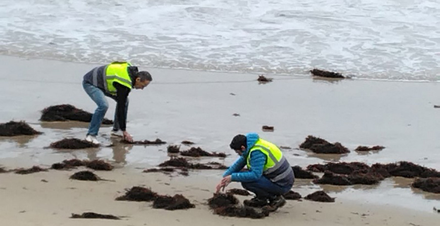 Los pellets llegan a la costa de Cantabria