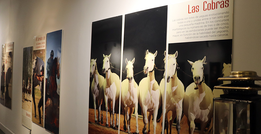 La Casona acoge la exposicin 'Cra Caballar de las Fuerzas Armadas'