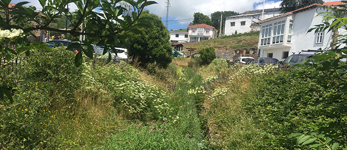 Fontibre 'abardalado'