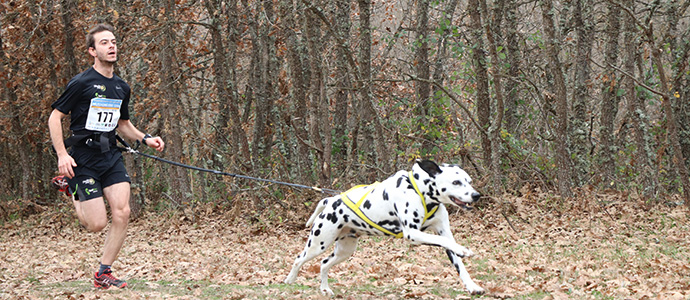 Los perros ms veloces se midieron en Valderredible 