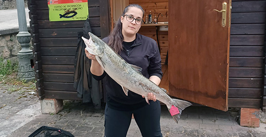 Pescado en el Pas el 'campanu' de Cantabria