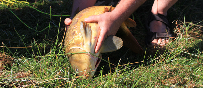Pescando carpas en el Pantano del Ebro
