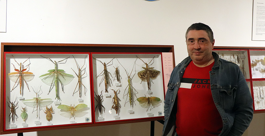 El planeta de los insectos coloniza La Casona