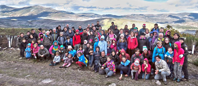 Plantan 300 rboles frutales para el oso en las laderas del Endino