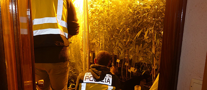 La Polica Nacional desmantela una sofisticada instalacin indoor de marihuana