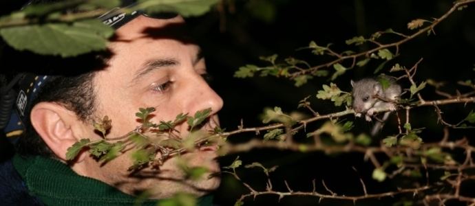 Polientes acoger este sbado la presentacin del libro 'Aves reproductoras de Cantabria'