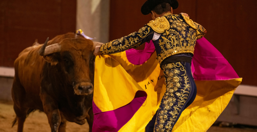Presidencia destina 50.000 euros a promocionar la tauromaquia en municipios en riesgo de despoblamiento