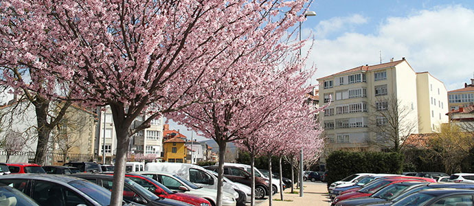 La primavera brota en Campoo