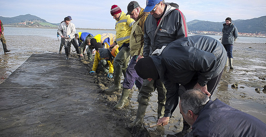 Publicada la orden que regula el marisqueo y la recogida de cebo para esta temporada