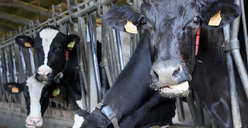 Publicadas las ayudas de Desarrollo Rural para prestar servicios de asesoramiento a las explotaciones agrarias
