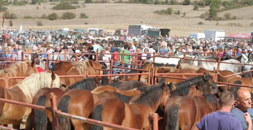 Reinosa celebra este jueves San Mateo