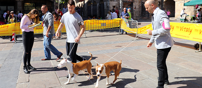 Reinosa celebr el Campeonato Regional Canino