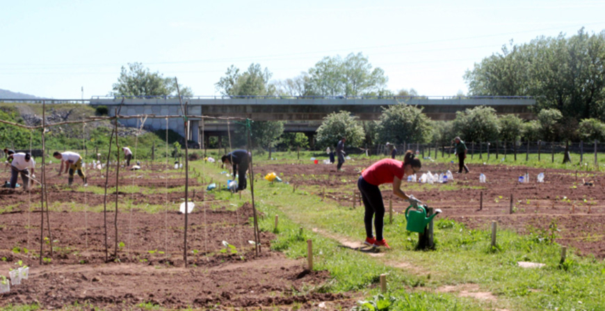 Reinosa comienza este martes la adjudicaci�n de los Huertos Urbanos Municipales