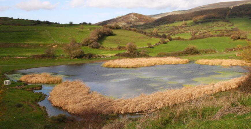 Reinosa convoca un concurso para dar una segunda vida a los neumticos retirados del Lago de Las Sanguijuelas 
