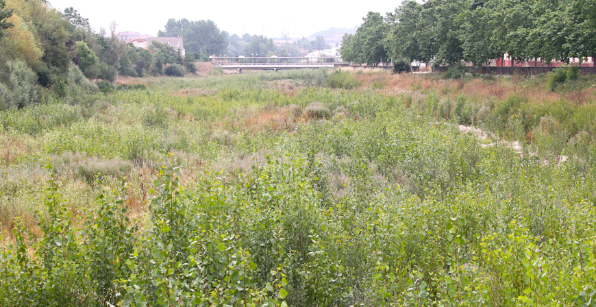 Reinosa invertir 15.000 euros en retirar la vegetacin del cauce urbano del Hjar