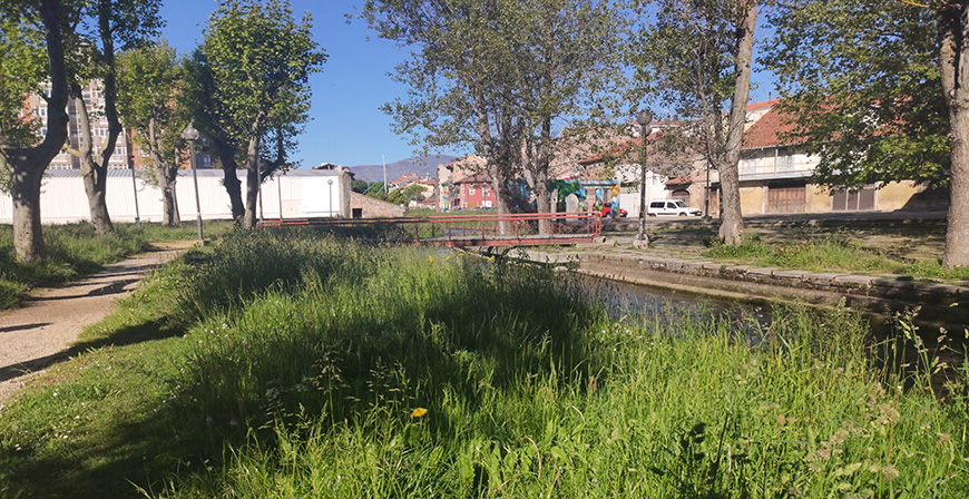 Reinosa, un vergel