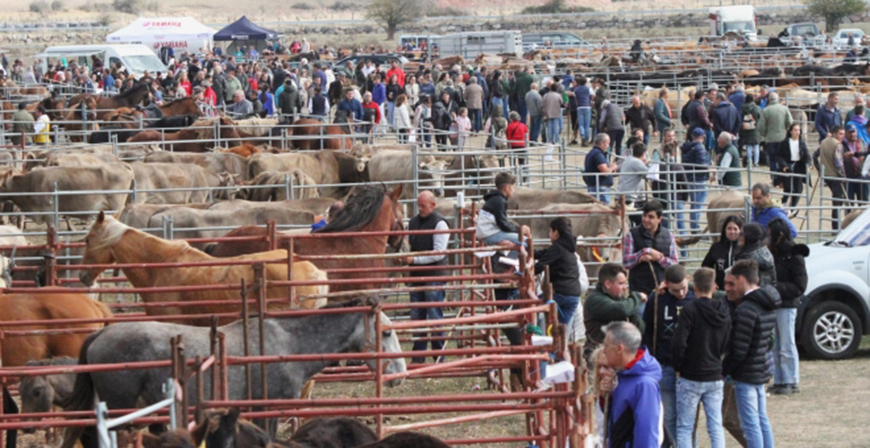 Requejo acoge este domingo la Feria ganadera de Campoo de Enmedio y la de productos agroalimentarios y artesanos