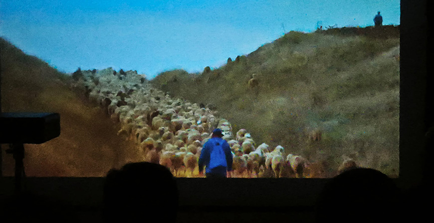Requejo acogi la proyeccin del documental 'Trashumantes. Suso & Eliseo'