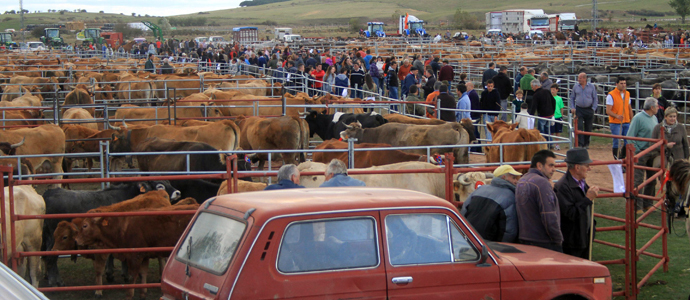 Requejo acogi su Feria de ao ms multitudinaria