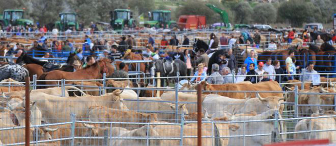 Requejo acoger este domingo la XXVI Feria de Ao de Campoo de Enmedio