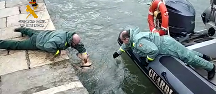 Rescatada una perra cada al mar en la baha de Santander