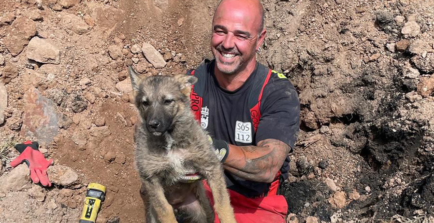 Rescatado un cachorro de perro que se haba atascado en una tubera en La Quintana