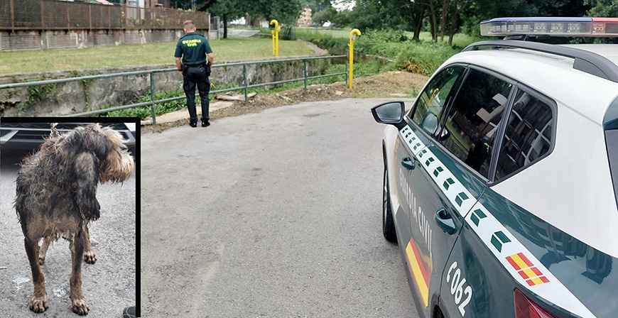 Rescatado un perro a punto de perecer ahogado que no pod�a no pod�a salir de un canal con maleza