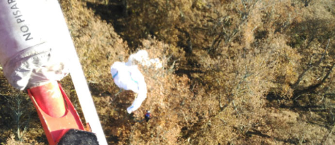 Rescatan a un parapentista que haba quedado colgado de un rbol en Cahecho
