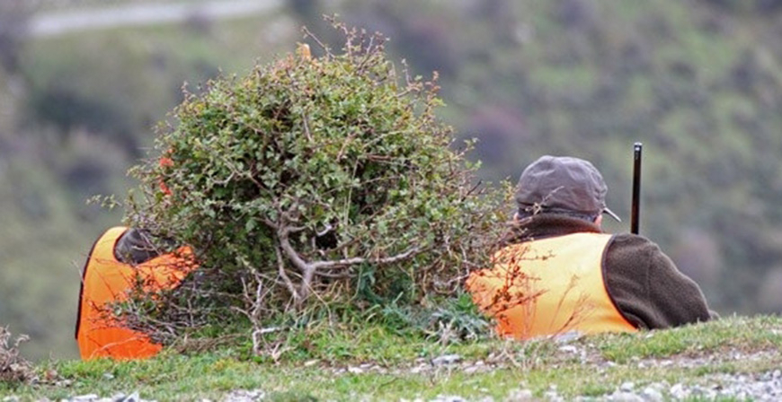 La Reserva Regional de Caza Saja aumenta las caceras de sorda y de liebre para la prxima temporada 