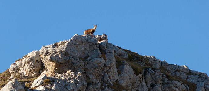 Los reyes de las cumbres