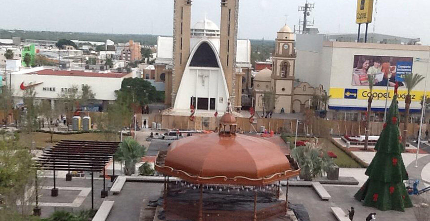 Reynosa, permiso para vivir
