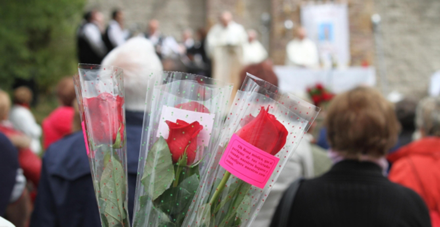 La Rosa, este domingo en Montesclaros