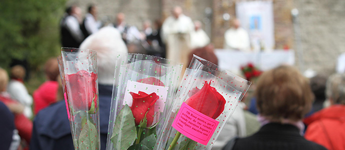 Las rosas de la patrona