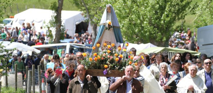 Rosas para la Virgen