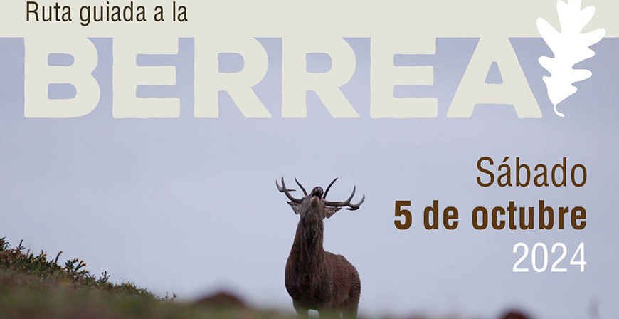 Ruta guiada para contemplar la berrea