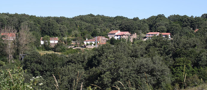 Ruta interpretativa para conocer las masas forestales de Valdeprado del Ro