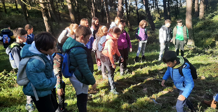 Ms de 120 escolares campurrianos se inician en la micologa