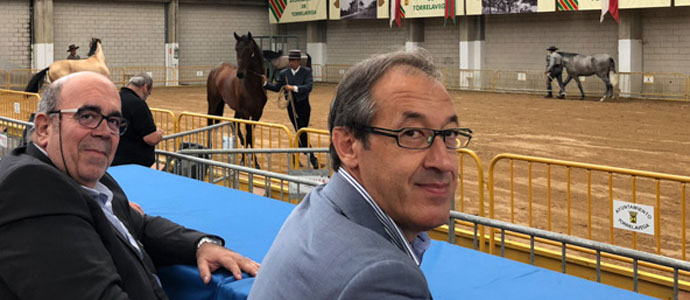 Oria seala el gran potencial de la cra de caballos de pura raza en Cantabria