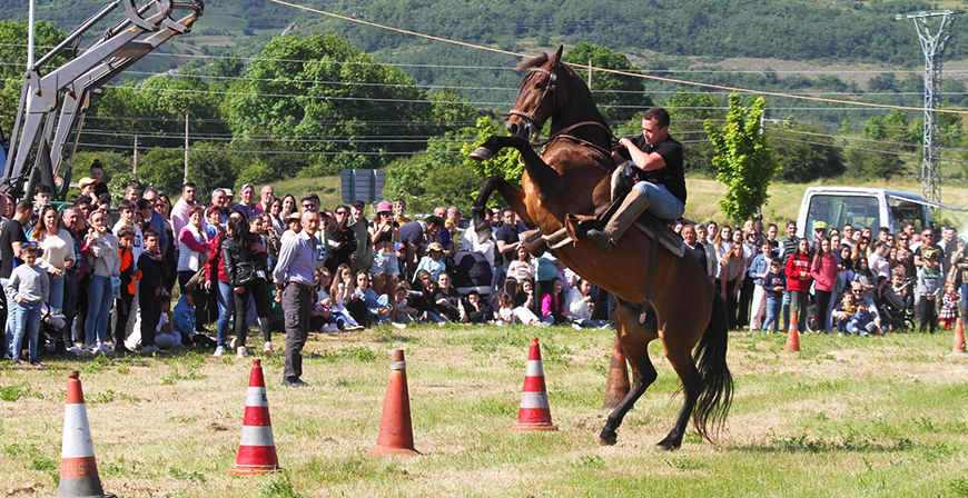 Salces festejar� a San Antonio con m�sica, tradiciones y actividades para todas las edades