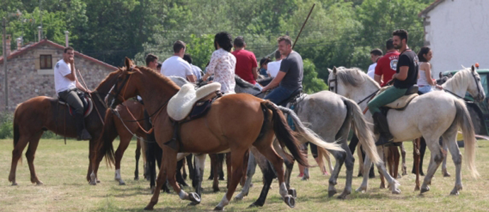 Salces festejar a San Antonio a partir del 13 de junio
