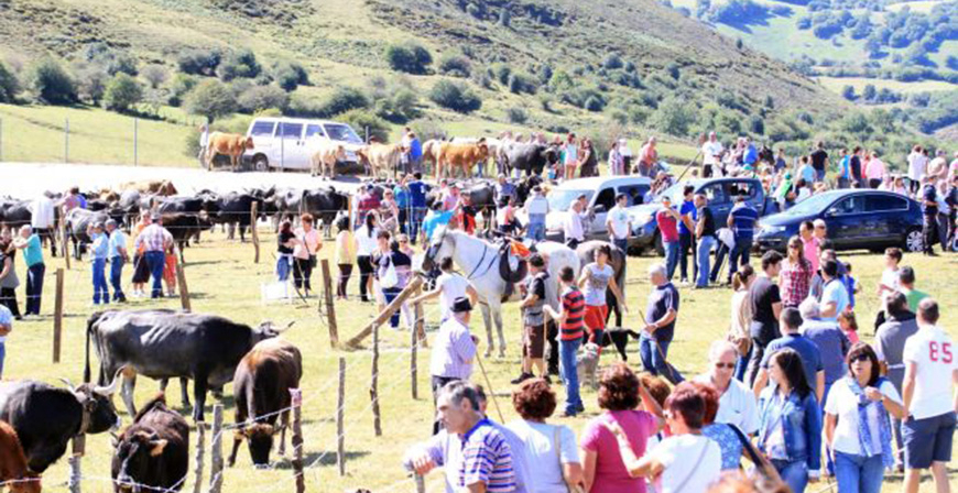 San Miguel de Aguayo celebra este fin de semana la Feria anual de Ganado