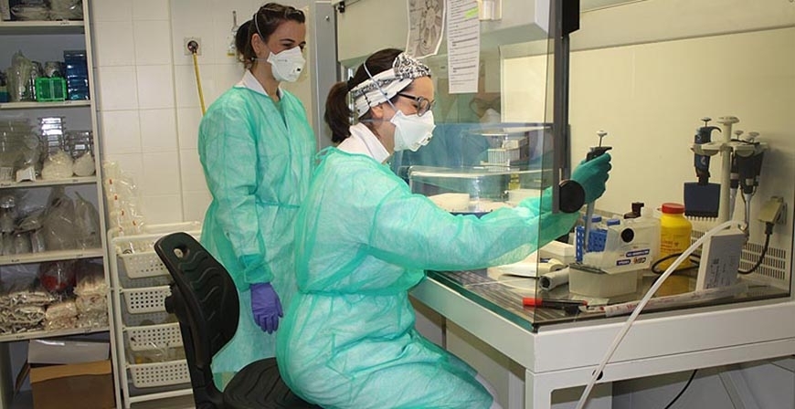 Sanidad y la UC colaboran para ampliar la capacidad de diagnstico del laboratorio del IDIVAL en el anlisis de los test de coronavirus