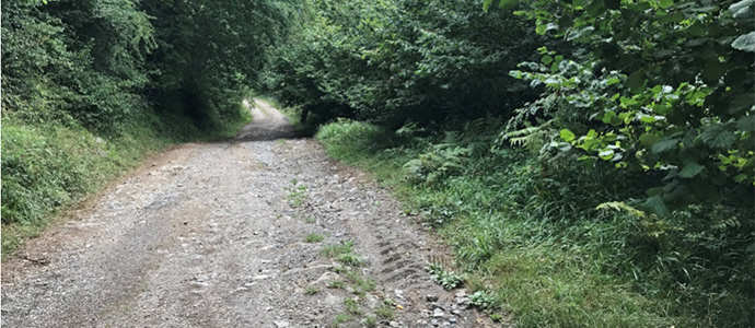 Santiurde solicita una subvencin para acondicionar una pista forestal de Somballe