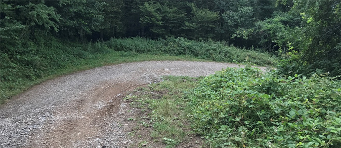 Santiurde solicita una subvencin para acondicionar una pista forestal de Somballe