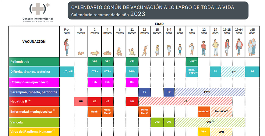 El SCS lanza un portal web con informacin de todas las vacunas del calendario comn a lo largo de toda la vida