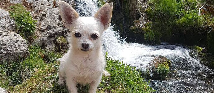 Se busca a 'Lua'