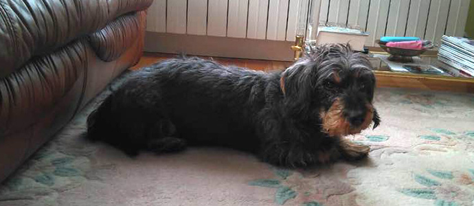 Se busca a 'Tanke'