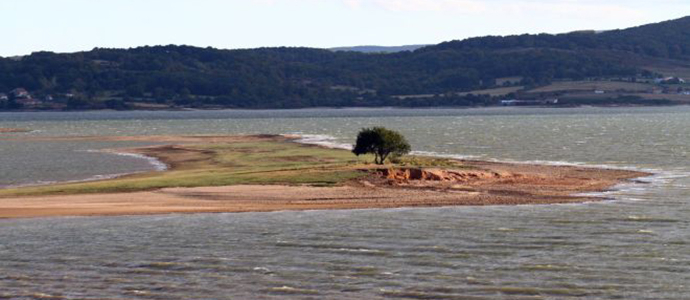 SEO/BirdLife organiza una actividad de voluntariado ambiental en el Pantano del Ebro