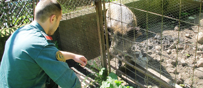 El Seprona de Barruelo denuncia a un vecino de Ruente por caza furtiva