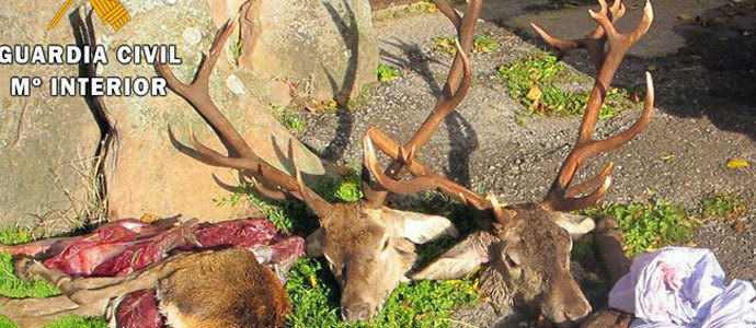 El Seprona de Barruelo de Santulln detiene a tres personas por caza ilegal